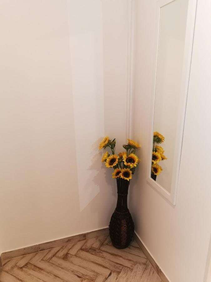 Bee Studio Apartman Radnót Kültér fotó